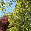 IMG_6207.jpeg