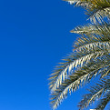 IMG_0514.jpeg
