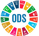 ods-1.jpg