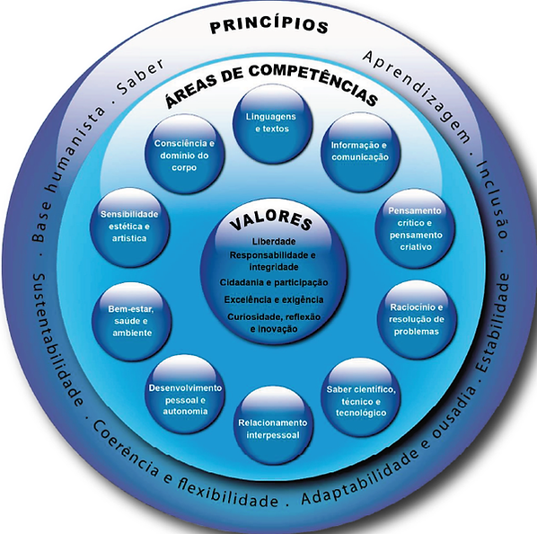 Grafica cidadania Escolas.png
