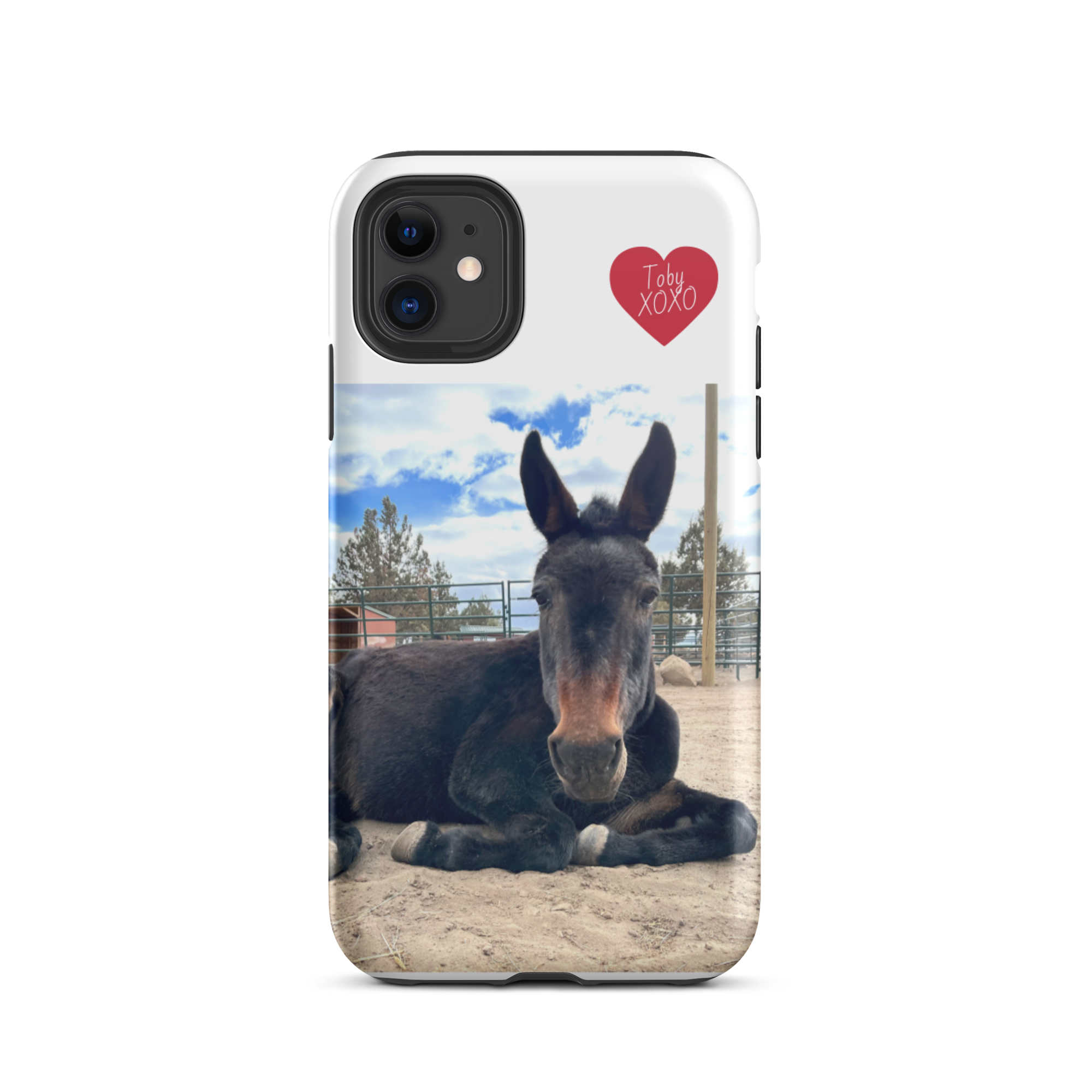 Tough iPhone case Toby XOXO $24