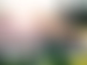 A little bit of everything: Alex + Ember (and pups)