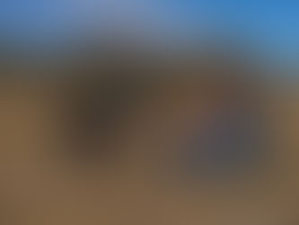 Family Portraits: Jackson + Celeste + Alex