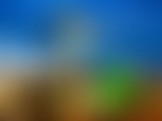 Parshas Pekudei - Architects vs Contractors