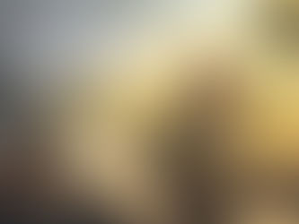 Vayeitzei - From Fragmentation To Gratitude: Rectifying Adam's Sin