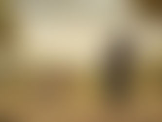 Bo - Don't Bark At Jews