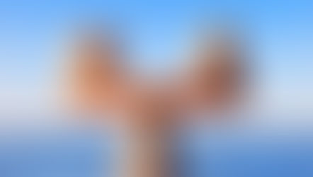 Vayechi - Finding Our Emotional Footing in Exile