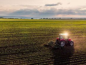 Parshas Lech Lecha - Inspired by Agriculture