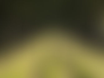 Parshas Masei - Creating A City Of Refuge For Those Who Want To Return