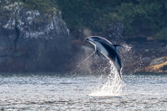 Van_2022_09 R7 2752dncr.jpg