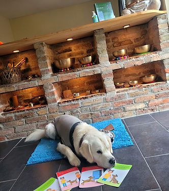 IMG_20220922_153136_180_edited_edited_ed