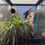 Thumbnail: Terrarium Tile Background 6Pack (fits 12x18" background)