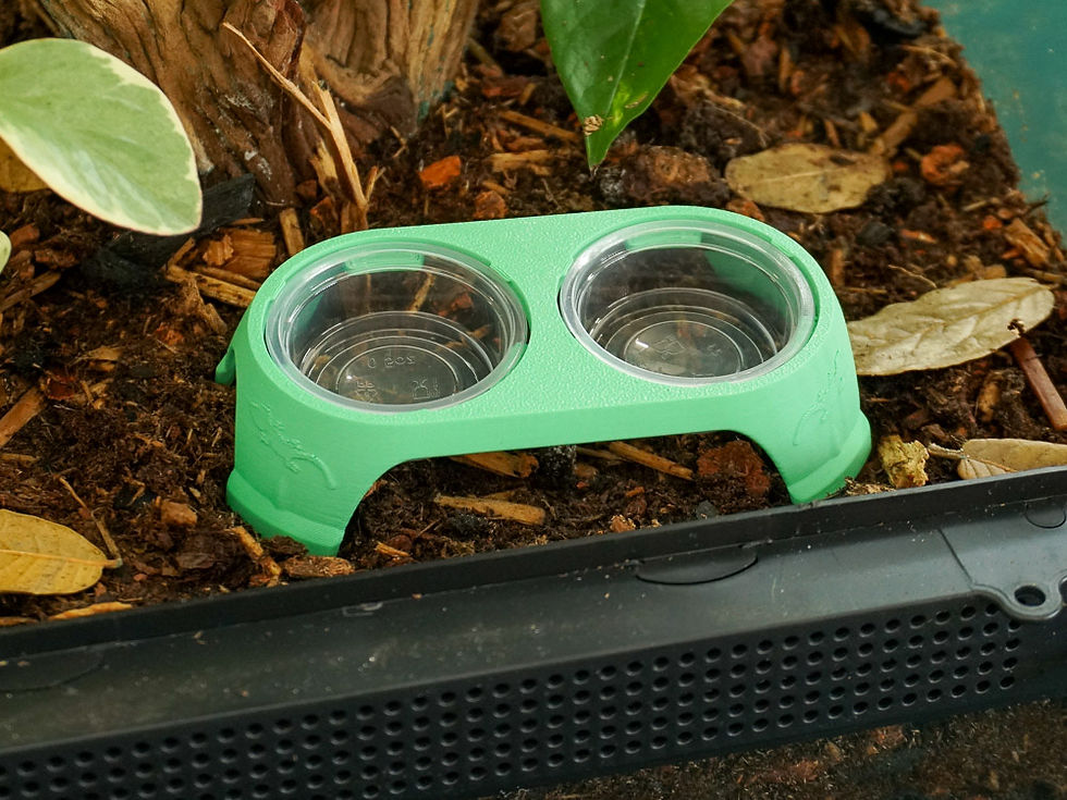 Thumbnail: Small Dual Ground Feeder
