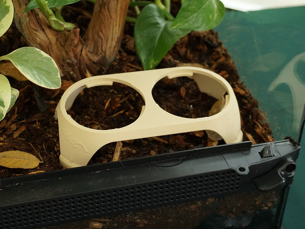 Thumbnail: Large Dual Ground Feeder