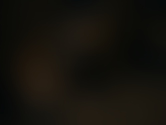 Perro asustado y escondido en una calle oscura durante las fiestas, mostrando el riesgo de que las mascotas se escapen por pirotecnia y la importancia de un rastreador GPS 4G como el OdySat Tracker G51