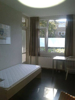 The room overlooks the back garden