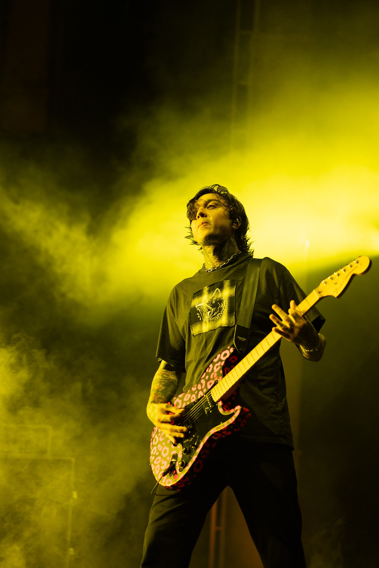 Pierce The Veil live at Ruoff Music Center in Indiana