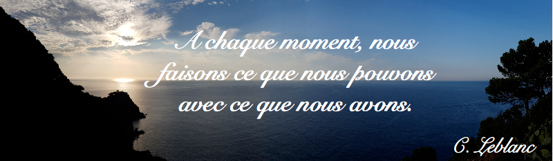 A chaque moment, nous faisons ce que nous pouvons avec ce que nous avons - claude leblanc - coeur d'énergie