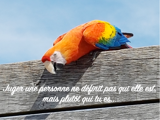 Juger une personne ne définit pas qui elle est, mais qui tu es - claude leblanc - coeur d'énergie