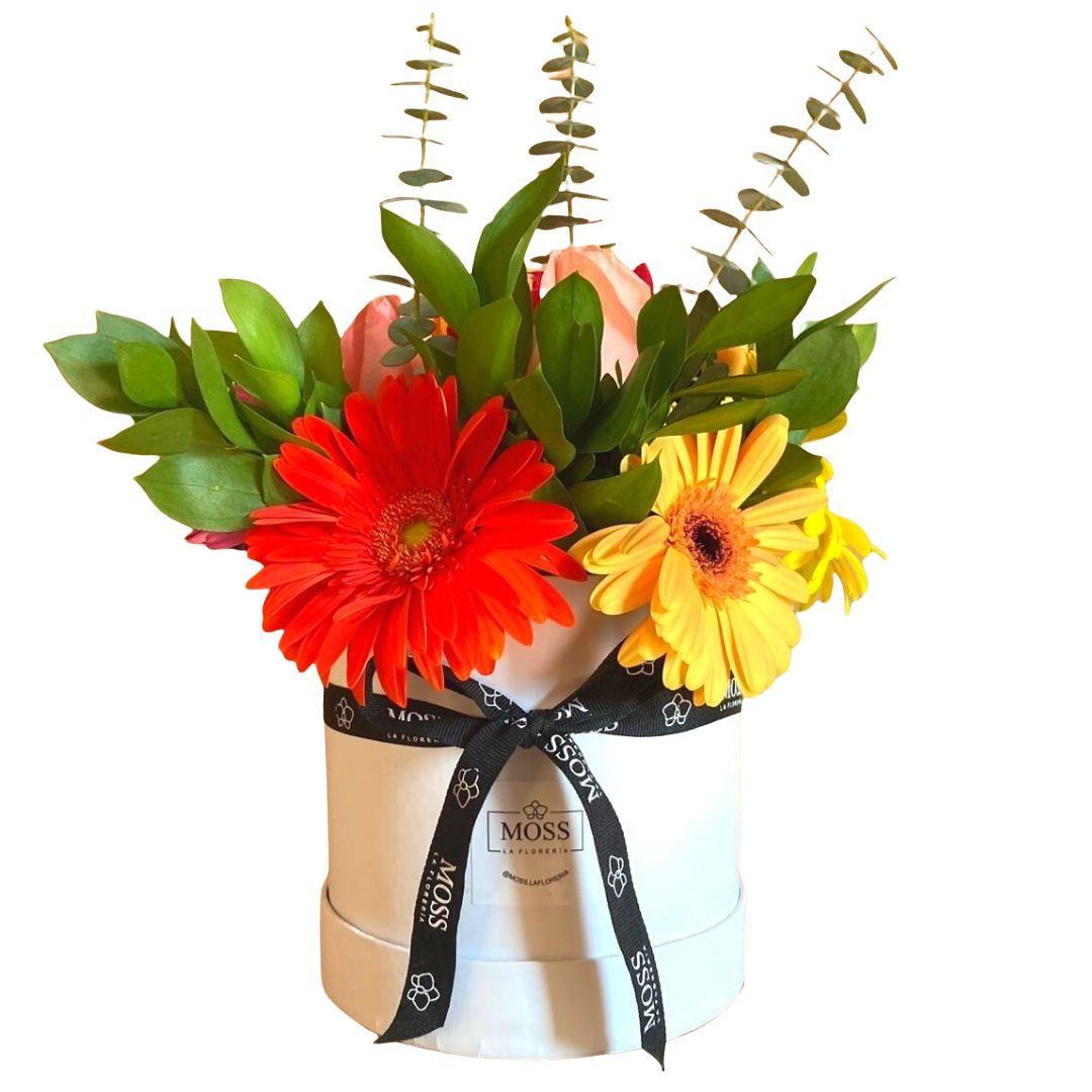 Sombrerera Rosas y Gerberas