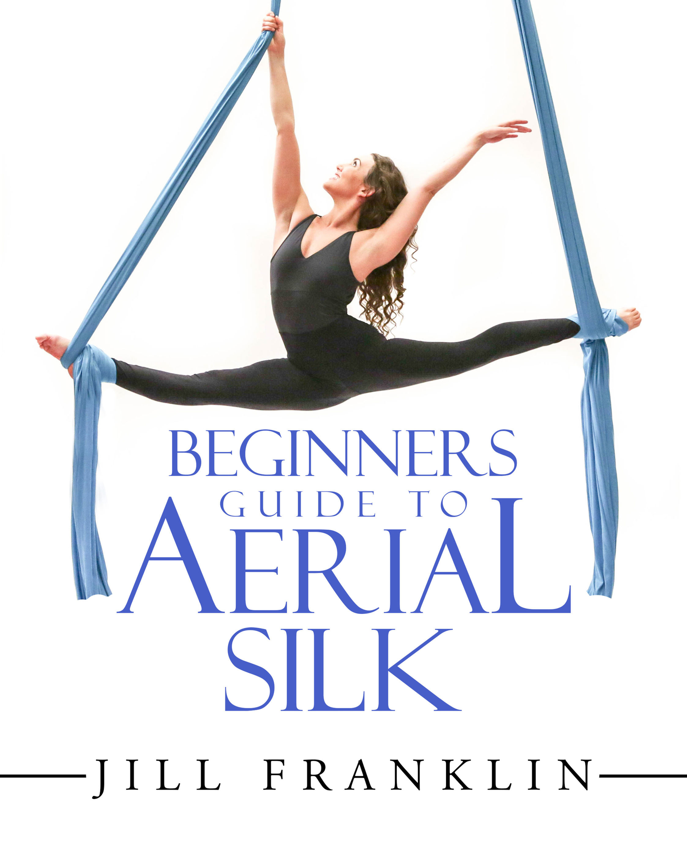 Beginners Guide to Aerial Silk (Paperback)
