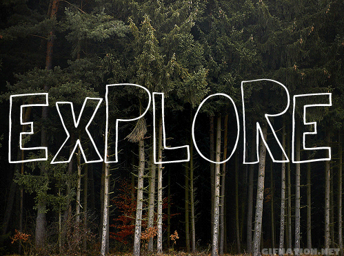 Explora con Camp Store