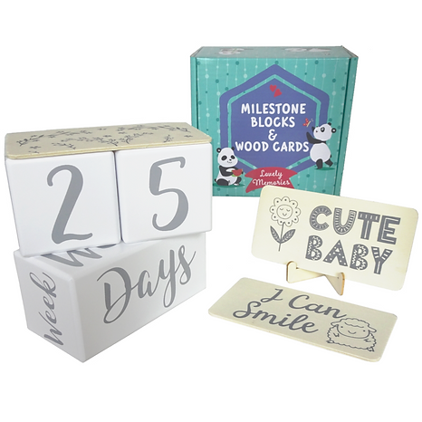 BABY MILESTONE BLOCKS.png
