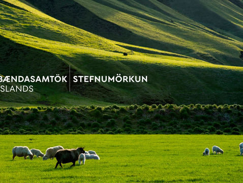 Stefnumörkun Bændasamtakanna 2023