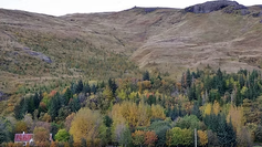 Skógarskoðun í Múlakoti