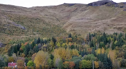 Skógarskoðun í Múlakoti
