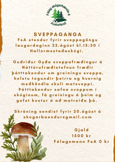 Sveppaganga FsA