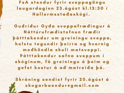 Sveppaganga FsA