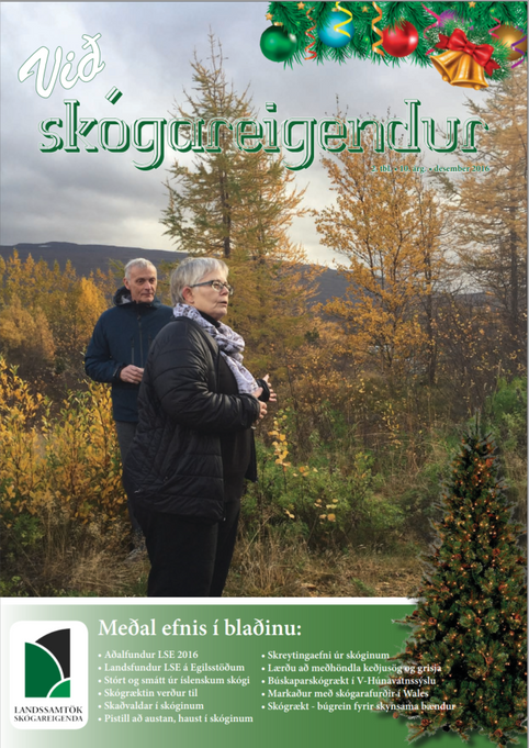 2. tbl : 10. árg : Desember 2016