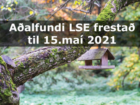 Aðalfundi LSE frestað til 15.maí nk.