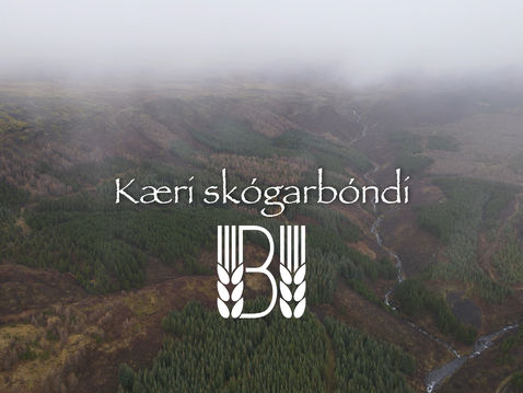Kæri skógarbóndi...