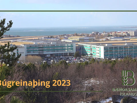 BĂșgreinaĂŸings skĂłgarbĂŠnda BĂ 2023 afstaðið