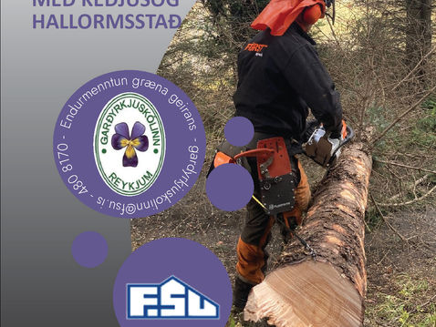 Námskeið í trjáfellingum á Austurlandi