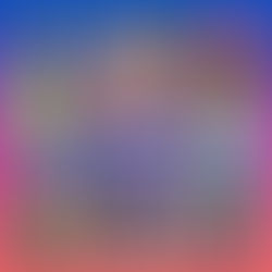 NY World Runners at the 2025 Chicago Marathon!