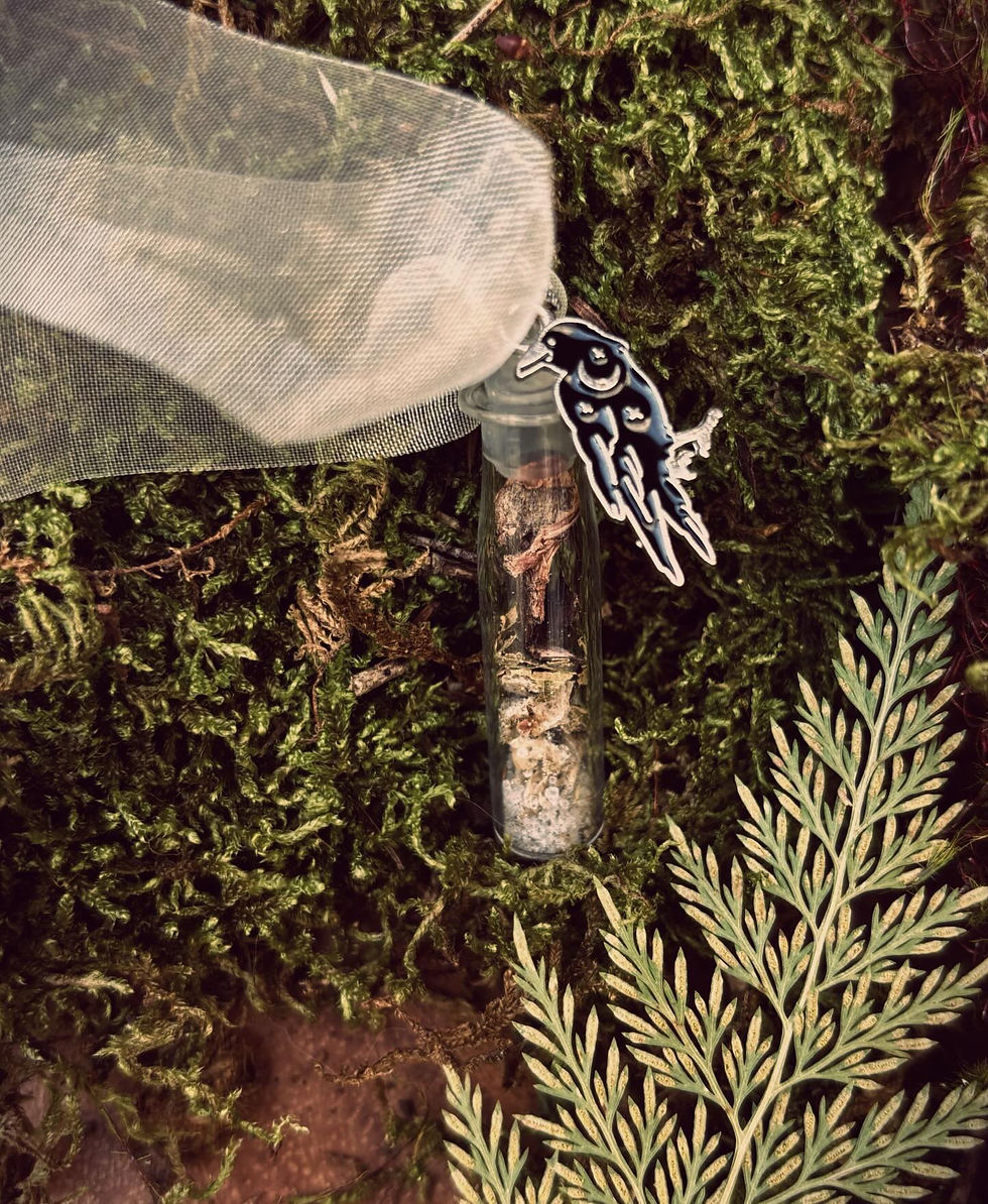 Badb, Bone and Birch ★ Spell Pendant