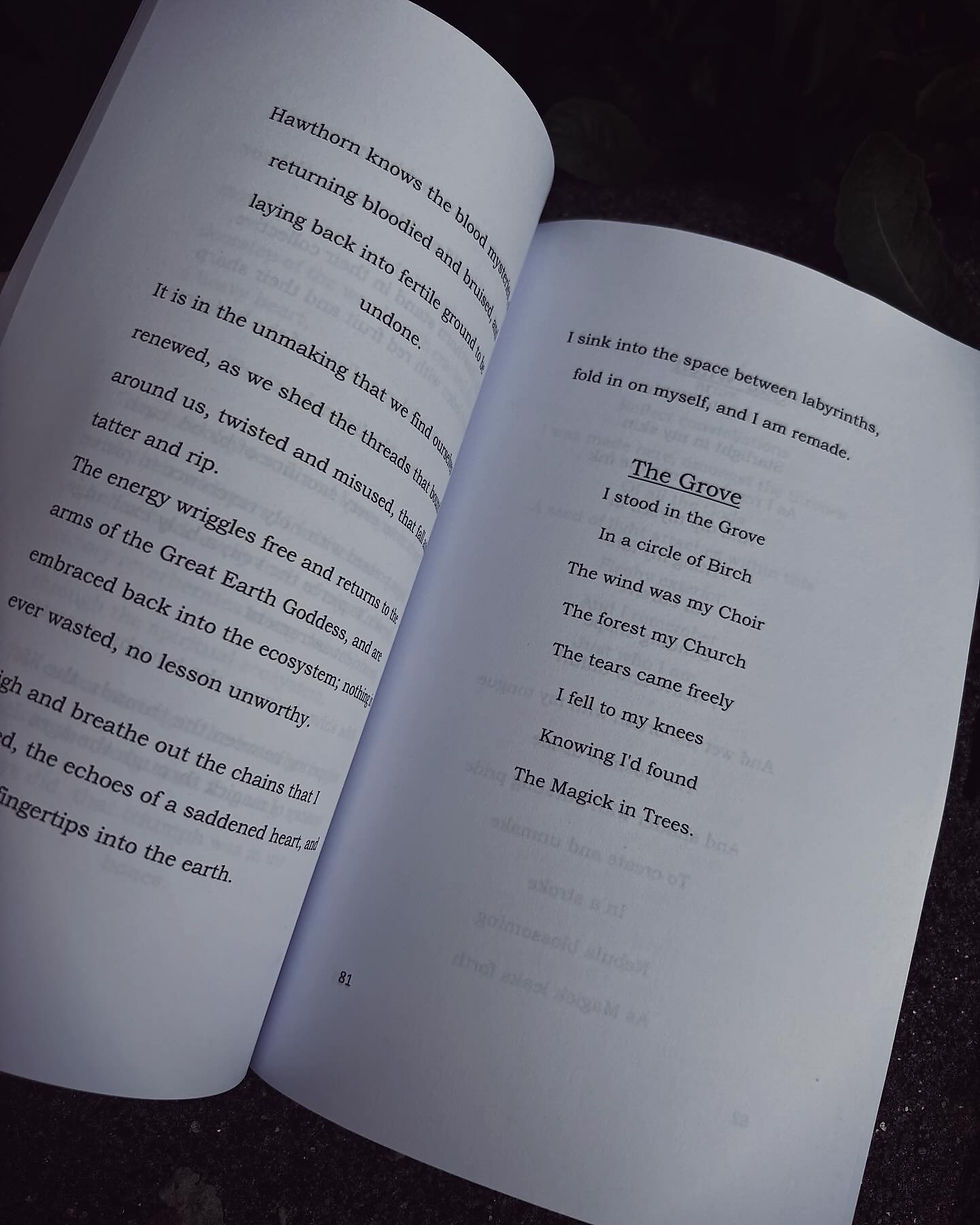 Thumbnail: Witch Book of the Dark Goddess  - "Songs of Shades, VOL 2