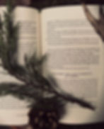 Thumbnail: Celtic Hedge Witchery: A Modern Approach
