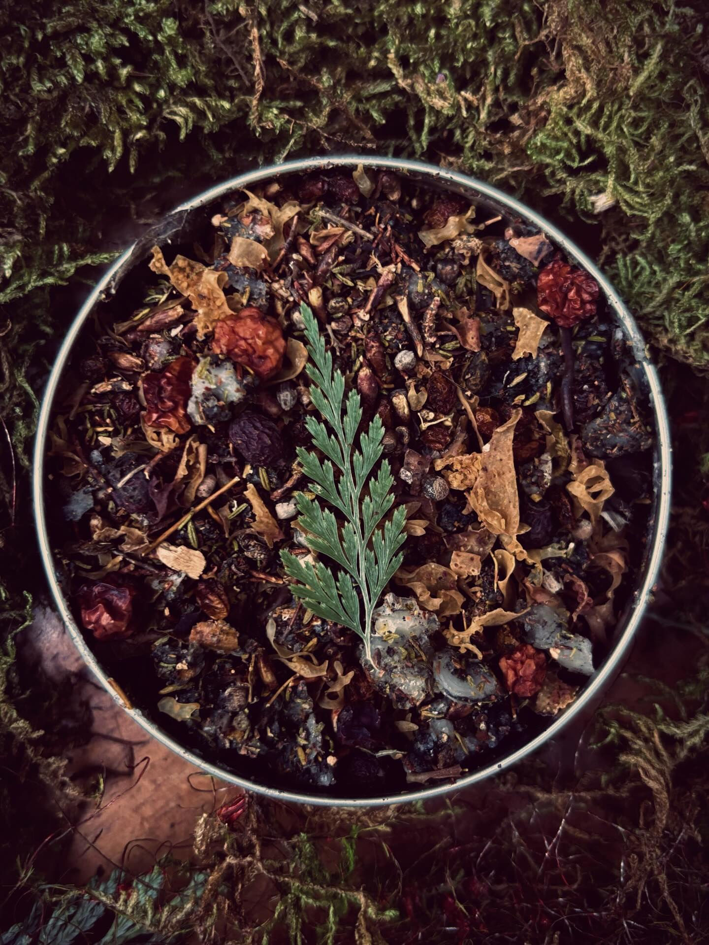 Starry Temple Incense ★ Temple of a Hedge Bound Fox Witch