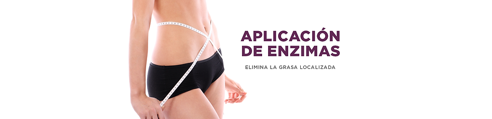 ENZIMAS.png