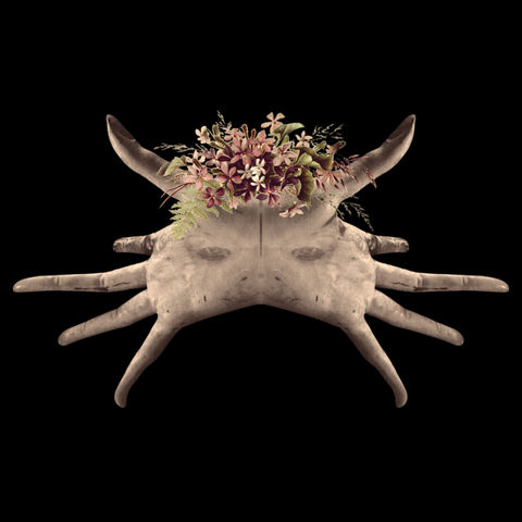 Fascinator