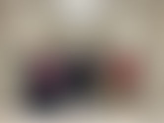 Partner Perspectives: Churchill Society for the Advancement of Parliamentary Democracy