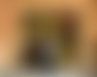 Giulia's Legislative Placement with the Legislative Library