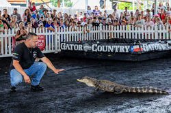 Celina Cajun Fest 2025 (729)