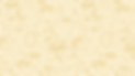 CCF Pattern 2026_HZ Cream.png