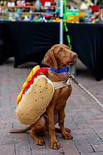 Beware of the Square (115).jpg