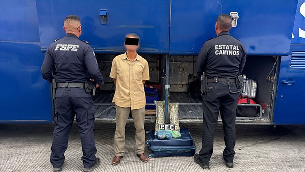 Asegura PEC más de mil dosis de marihuana en Salamanca.jpeg